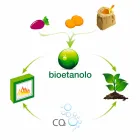 مدفأة حيوية ذات جدار أبيض بتصميم عصري مع ملحق زجاجي من إيريكا Viadurini