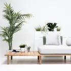 أريكة بأربعة مقاعد من خشب الساج، منسوجة بحبل، ومزينة بوسائد - بيلاتريكس Viadurini