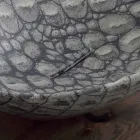 حوض غسيل سيراميك بتصميم منضدة مصنوع في إيطاليا، حيوانات Viadurini