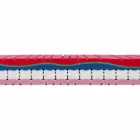 مرتبة فردية من مادة الذاكرة عالية الجودة بارتفاع 25 سم، صنع في إيطاليا - بلاتينيوم Viadurini