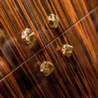 وحدة تخزين حديثة بأربعة أبواب من خشب الأبنوس اللامع Ada Viadurini