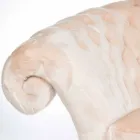 كرسي بذراعين كلاسيكي من الفرو الصناعي من Balma capitonnè Viadurini