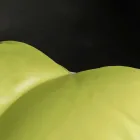 تصميم عثماني من الجلد الصناعي من الداخل والخارج بتصميم بحري من بوتوس Viadurini