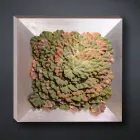 لوحة جدارية حديثة مصنوعة من المعدن والزهور الاصطناعية، صنع في إيطاليا - غونيو Viadurini