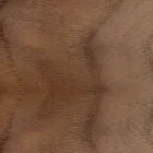 كرسي مبطن بقاعدة من خشب البلوط، صنع في إيطاليا - سيباستيان Viadurini