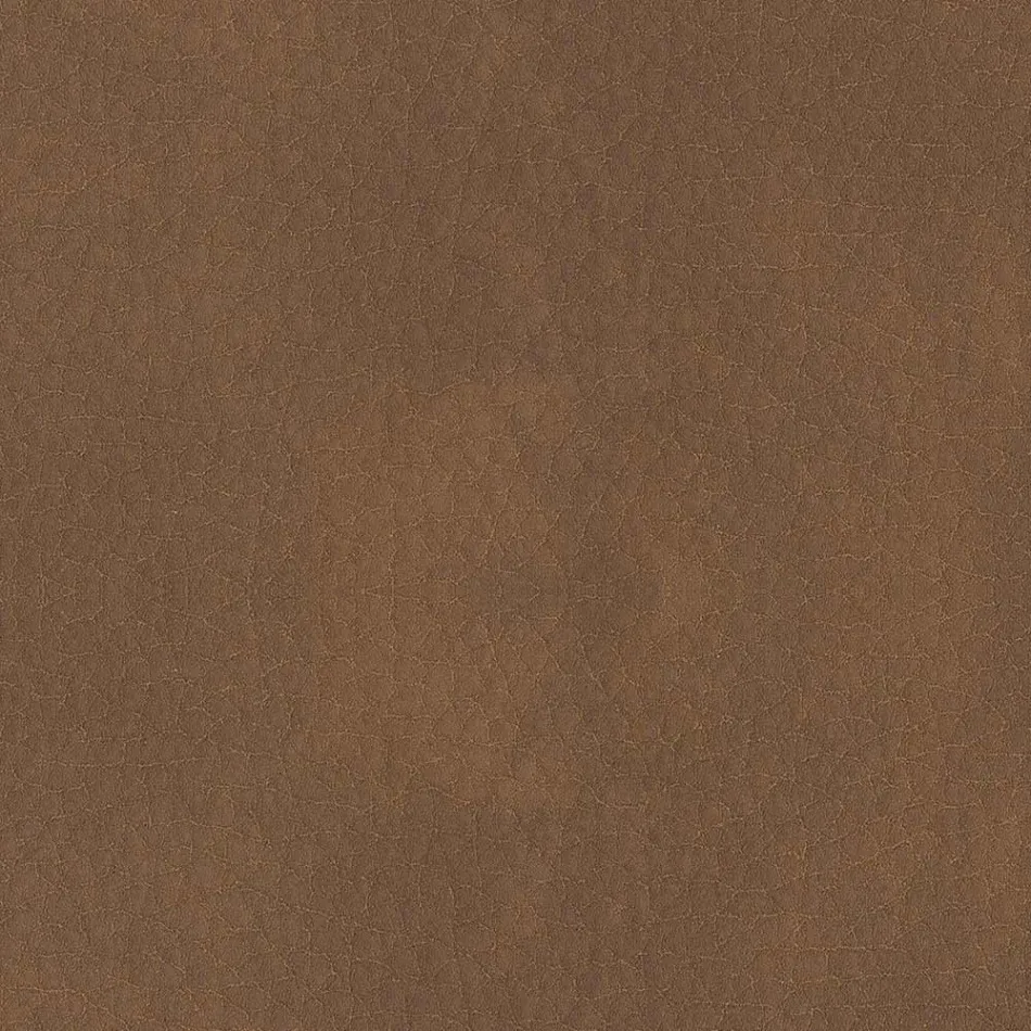 كرسي طعام مغطى بجلد إيكولوجي مصنوع في إيطاليا - جوليا Viadurini