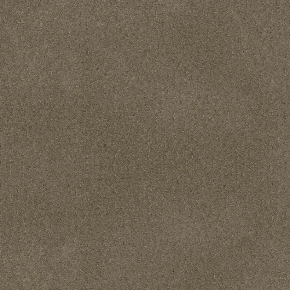 كرسي طعام مغطى بجلد إيكولوجي مصنوع في إيطاليا - جوليا Viadurini