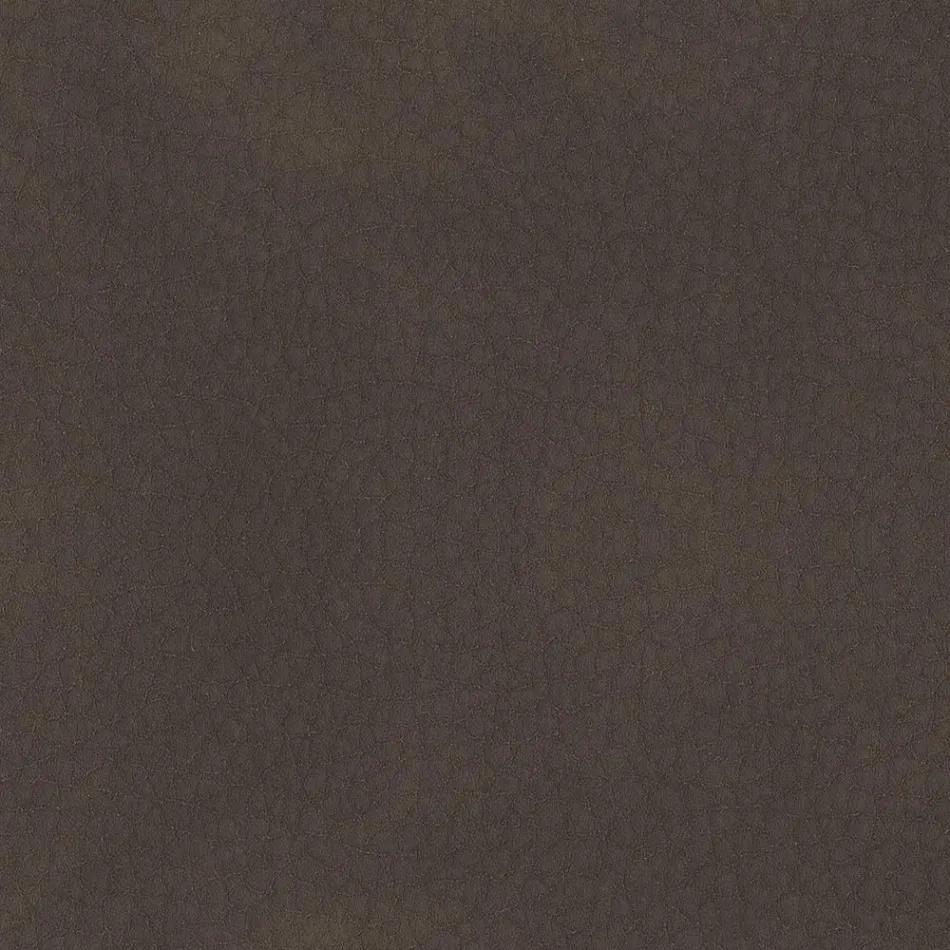 كرسي طعام مغطى بجلد إيكولوجي مصنوع في إيطاليا - جوليا Viadurini