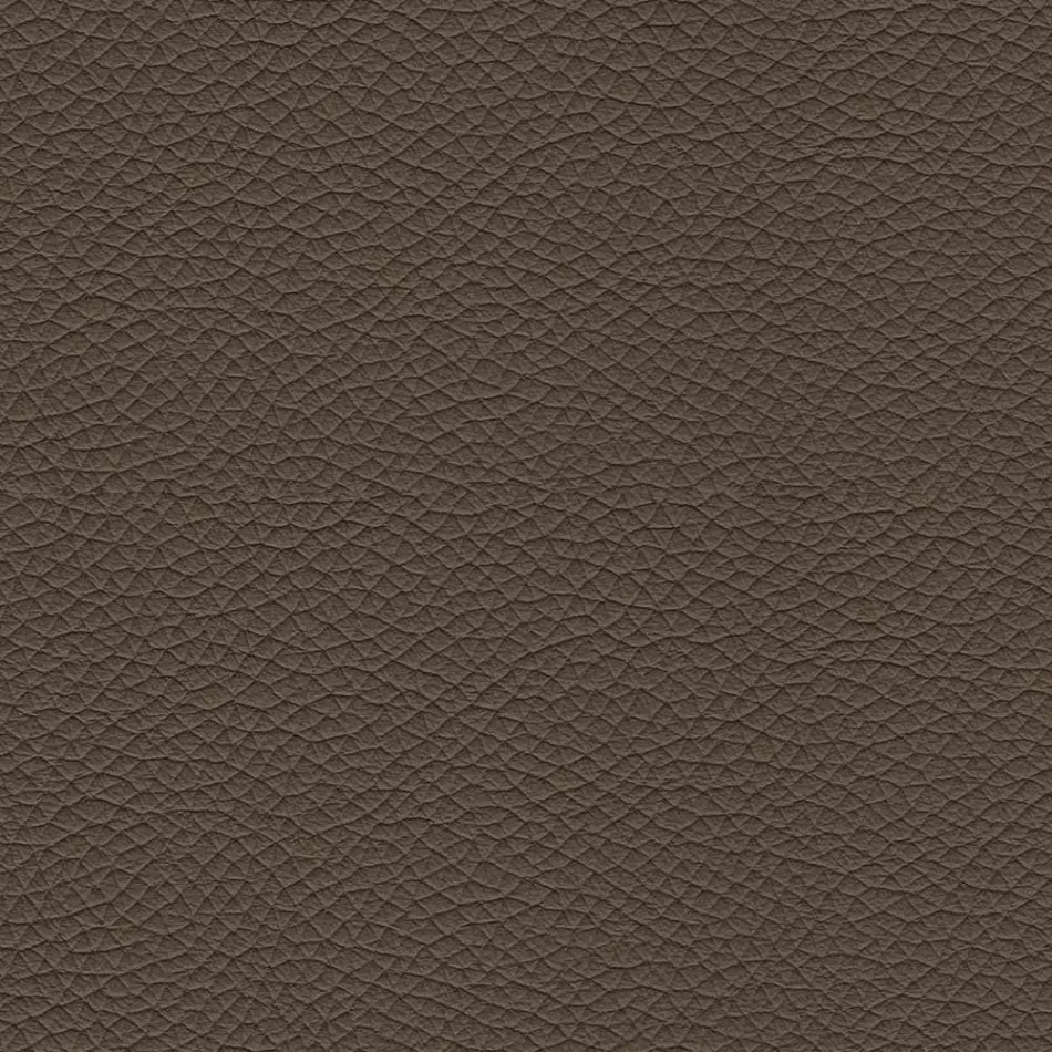 كرسي طعام بمقعد مغطى بالجلد، صنع في إيطاليا - جوليا Viadurini