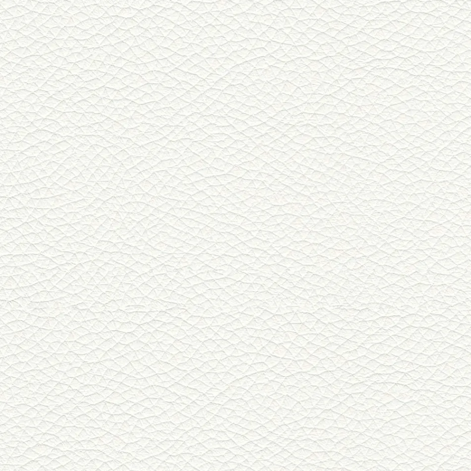 كرسي طعام بمقعد مغطى بالجلد، صنع في إيطاليا - جوليا Viadurini