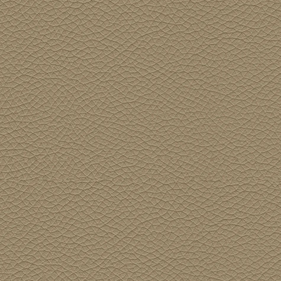 كرسي طعام بمقعد مغطى بالجلد، صنع في إيطاليا - جوليا Viadurini