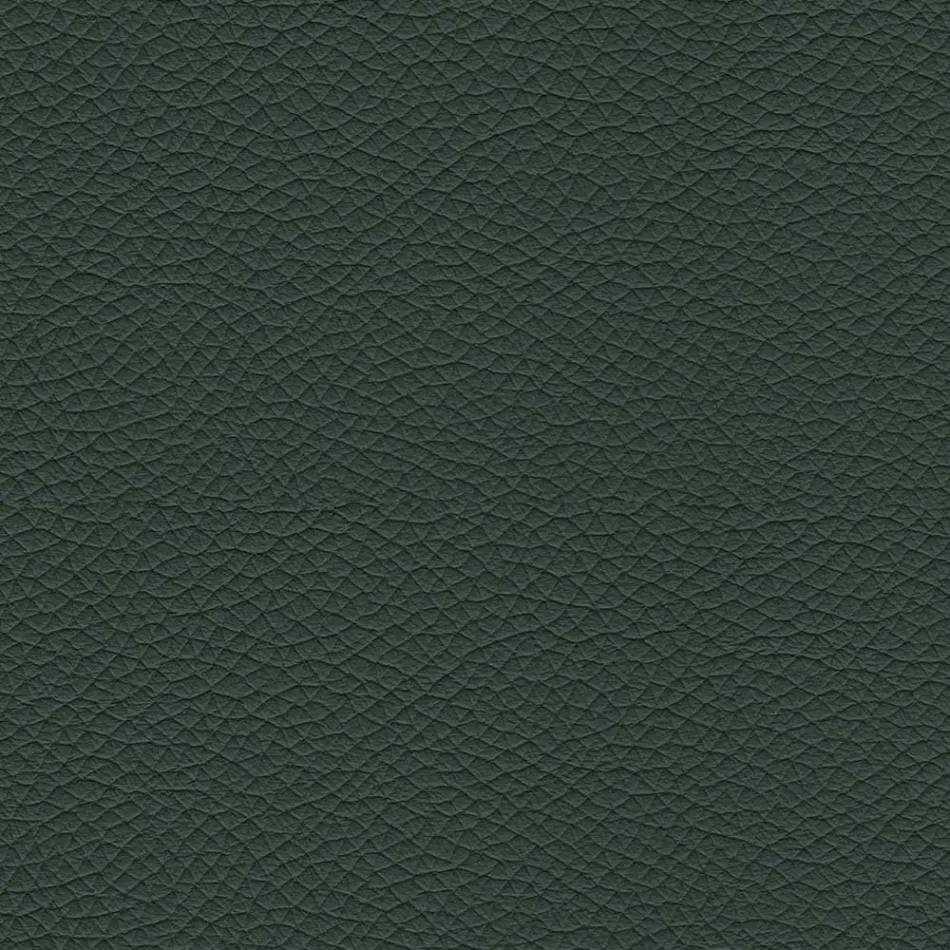 كرسي طعام بمقعد مغطى بالجلد، صنع في إيطاليا - جوليا Viadurini