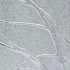 مرآة حائط مستطيلة مصنوعة من خشب التنوب صنع في إيطاليا Achille Viadurini