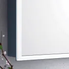 مرآة حائطية مع بابين عصريين وإضاءة LED، أديل Viadurini