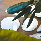 لوح تقطيع دائري من رخام كارارا أبيض، صنع في إيطاليا - ماشا Viadurini