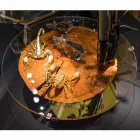 طاولة قهوة بتصميم منخفض مع سطح زجاجي وخشب بيغو Viadurini