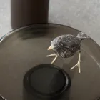 طاولة قهوة بسطح زجاجي وقاعدة معدنية، صنع في إيطاليا - باتولا Viadurini