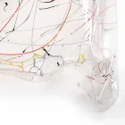 طاولة قهوة حديثة من زجاج شبكي مصنوعة في إيطاليا وآسيا Viadurini