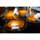 طاولة قهوة من الخشب والفولاذ بأرجل معدنية، صنع في إيطاليا - دمشق Viadurini