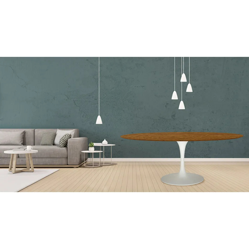 طاولة توليب من إيرو سارينن، ارتفاع 73 سم، بيضاوية الشكل، مصنوعة من خشب الجوز الفاتح المصبوغ بخشب البلوط، مصنوعة في إيطاليا - قرمزي Viadurini