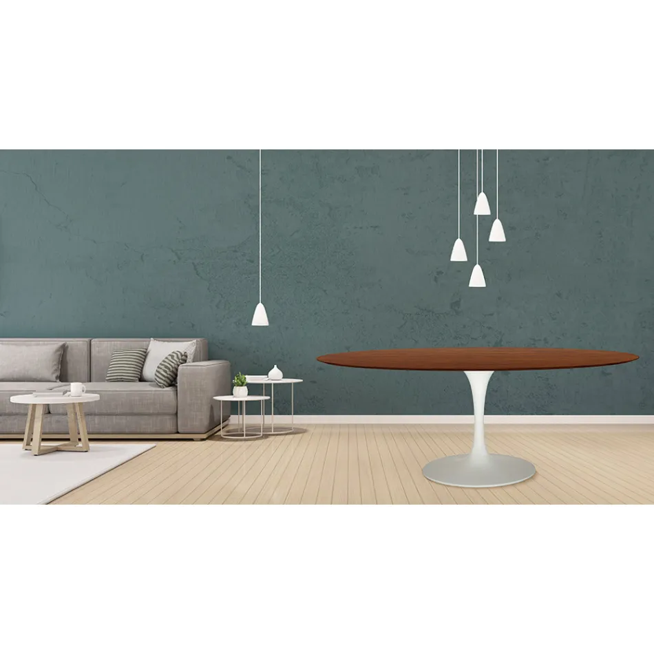 طاولة توليب من إيرو سارينن، ارتفاع 73 سم، بيضاوية الشكل، مصنوعة من خشب الجوز الداكن المصبوغ بخشب البلوط، مصنوعة في إيطاليا - قرمزي Viadurini