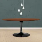 طاولة توليب من إيرو سارينن، ارتفاع 73 سم، بيضاوية الشكل، مصنوعة من خشب الجوز الداكن المصبوغ بخشب البلوط، مصنوعة في إيطاليا - قرمزي Viadurini