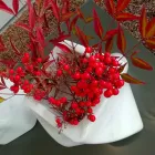 مزهرية بتصميم زخرفي من رخام بارديجليو أو كارارا، صنع في إيطاليا - بريزما Viadurini