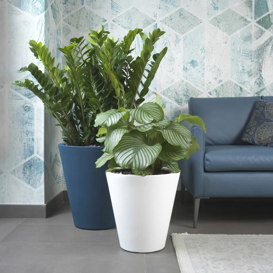 مزهرية دائرية ملونة من البولي إيثيلين مزخرفة، صنع في إيطاليا - منجو Viadurini