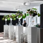 مزهرية زخرفية حديثة باللون الأبيض والزجاج الشفاف، صنع في إيطاليا - فولكانو Viadurini