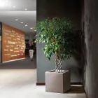 مزهرية من البولي إيثيلين الملون على شكل مكعب، صنع في إيطاليا - تونيلو Viadurini