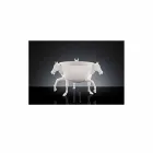 مزهرية زخرفية داخلية من السيراميك الأبيض أو الذهب عيار 24 قيراطًا، صنع في إيطاليا - جاكي Viadurini