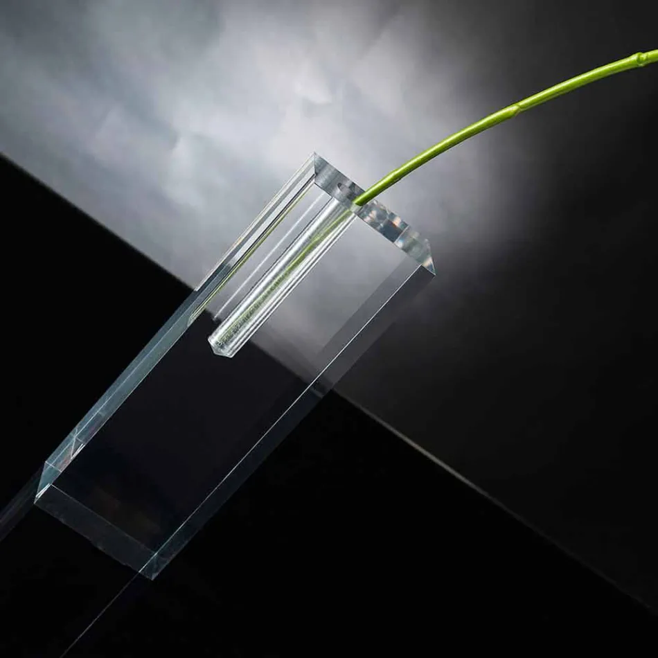 مزهرية زهور شفافة حديثة من زجاج شبكي، صنع في إيطاليا - فريدة من نوعها Viadurini