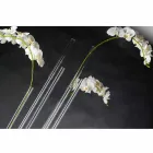 مزهرية داخلية شفافة من زجاج شبكي، صنع في إيطاليا - فورتوناتو Viadurini